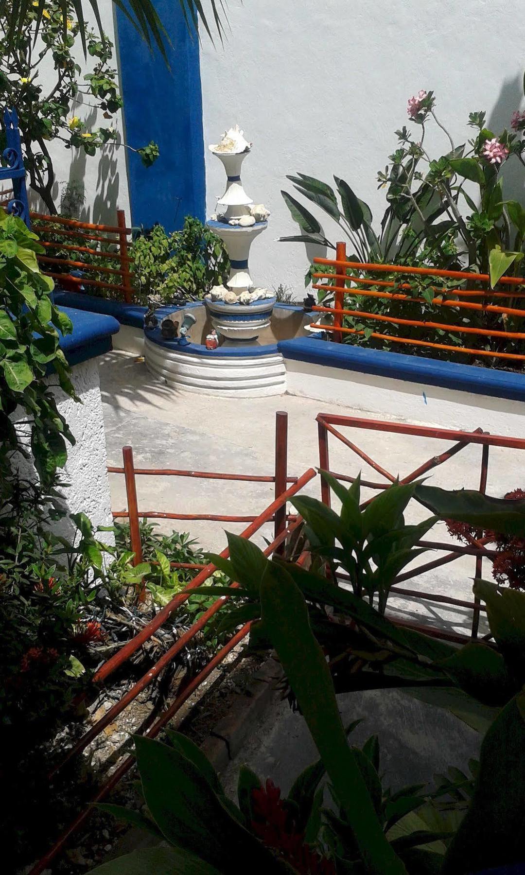 Alicia'S Bed & Breakfast Cozumel Exterior photo
